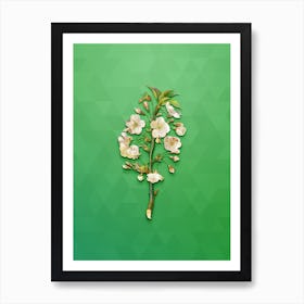 Vintage Pear Tree Flowers Botanical Art on Classic Green n.1426 Art Print