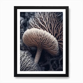 Mushroom Photography 9 Art Print