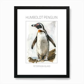 Humboldt Penguin Petermann Island Watercolour Painting 1 Poster Art Print