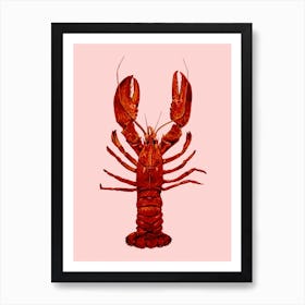 Lobster On Pink Art Print