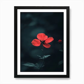 Dark Red Flower 3 Art Print