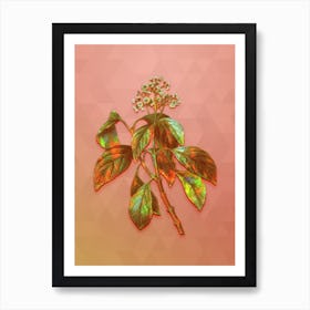 Vintage Climbing Hydrangea Botanical Art on Peach Pink n.1813 Art Print