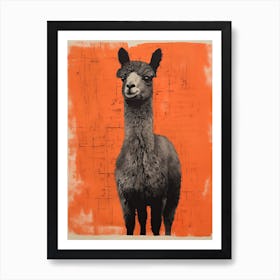 Alpaca, Woodblock Animal Drawing 3 Art Print