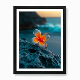 Flower Of Frangipani Art Print