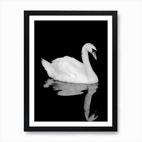 Swan on Water in Line Art Art Print
