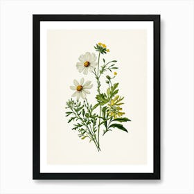 Vintage Botanical Galleria Style Wildflower Painting 42 Art Print