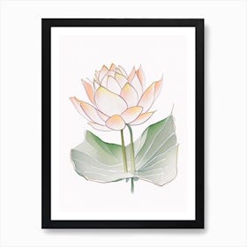 Double Lotus Pencil Illustration 3 Art Print