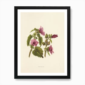 Hibiscus 6 Art Print