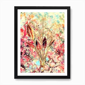 Impressionist European Water Plantain Botanical Painting in Blush Pink and Gold Art Print
