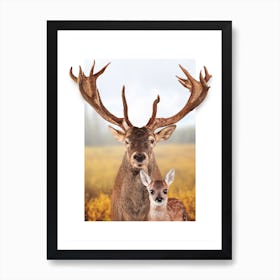 Deer Family Art Print