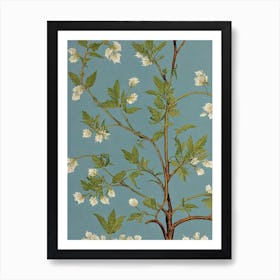 Shagbark Hickory tree Vintage Botanical Art Print