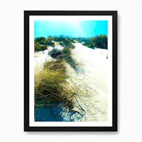 Sand Dunes and Grass Bushes on the Beach near the Ocean Art Print