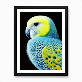 Budgerigar Pointillism 2 Bird Art Print