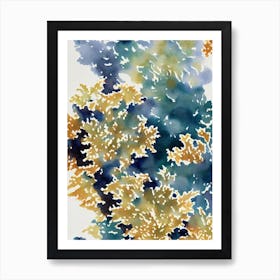 Acropora Pulchra Vintage Graphic Watercolour Art Print