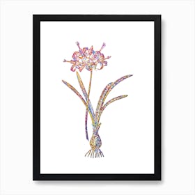 Stained Glass Guernsey Lily Mosaic Botanical Illustration on White n.0120 Art Print