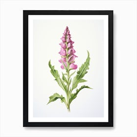 Foxglove Flower Vintage Botanical 1 Art Print