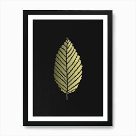 Beech Leaf Golden On Black Art Print