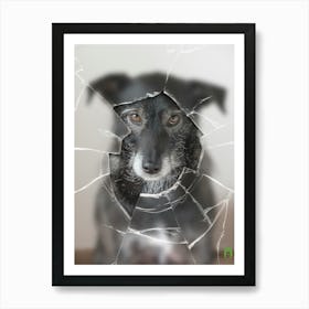 Dog Through A Broken Window 20170604 1058rt1pub Art Print