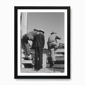 West Texas Cattlemen Looking Over The Cattle Which Are Offered For Sale, Stockyards, San Angelo, Texas By Art Print