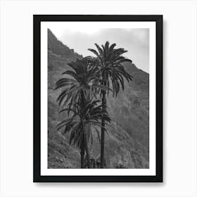 Tenerife's Palms, Canaries Islands | Black And White PhotographY Art Print Art Print