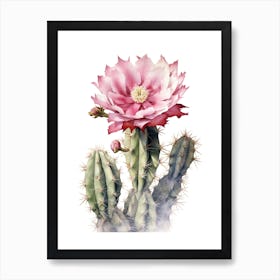 Austrocylindropuntia Subulata Cactus Watercolour Drawing 4 Art Print