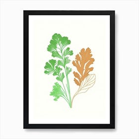 Parsley Spices And Herbs Minimal Line Drawing 3 Art Print