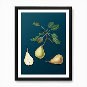 Vintage Pear Botanical Art on Teal Blue n.0597 Art Print
