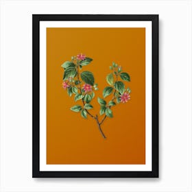 Vintage Crossberry Botanical on Sunset Orange n.0937 Art Print