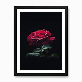 Red Rose On Black Background 2 Art Print