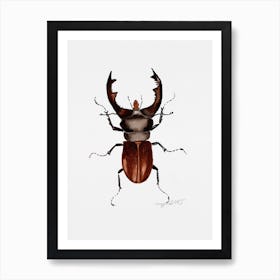 Lucanus cervus, the stag beetle, watercolor artwork Art Print