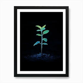 Young Plant On Black Background Art Print