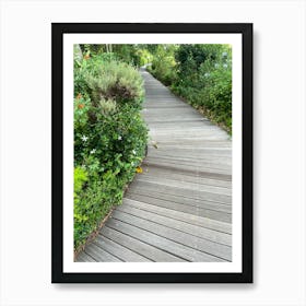 Wooden Pathway Surrounded by Greenery and Vibrant Plants in a Serene Garden Art Print