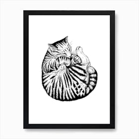 Sleeping Cat Drawing Poster