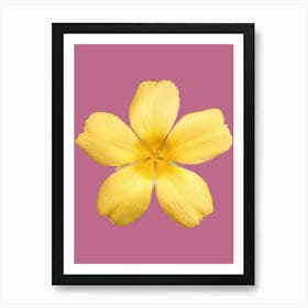 Yellow Flower On Pink Background Art Print