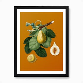 Vintage Common Fig Botanical on Sunset Orange n.0929 Art Print