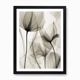 Lotus Flower Art Print