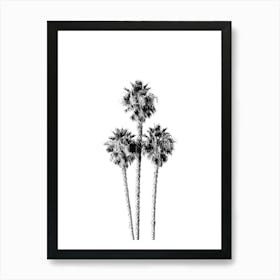 Palm Tree Trinity Summertime Black and White Minimalist Boho Art Print Art Print