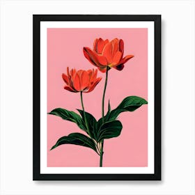 Two Red Tulips Canvas Print Art Print