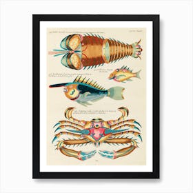 Colourful And Surreal Illustrations Of Fishes, Lobster And Crab Found In The Indian And Pacific Oceans, Louis Renard (76) Art Print
