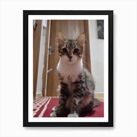 Cat Sitting On A Rug Art Print
