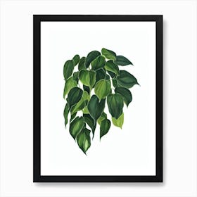 Heartleaf Philodendron (Philodendron Scandens) Watercolor Art Print