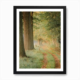 Morning Walk in the Forest Poster