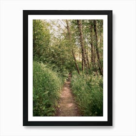 Mellow Trail Art Print