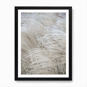 White Beige Boho Dreams Pampas Art Print