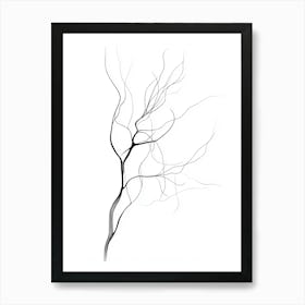 Bare Tree Isolated On White Art Print