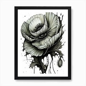 Black And White Poppy Art Print