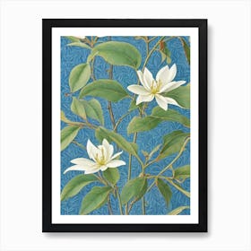 Southern Magnolia tree Vintage Botanical Art Print