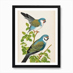 Budgerigar James Audubon Vintage Style Bird Art Print
