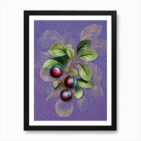 Vintage Cherry Plum Botanical Illustration on Veri Peri n.0181 Art Print