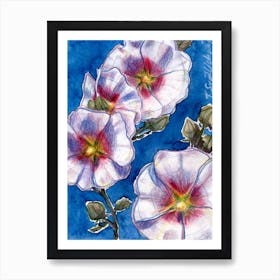 White Hollyhocks On Blue Art Print